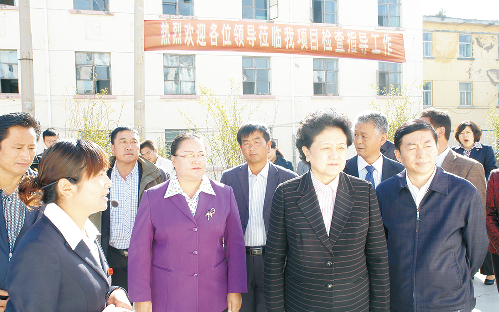 时任中央政治局委员，，国务院副总理、党组成员刘延东视察湖北K8凯发旗舰厅集团青海项目部
