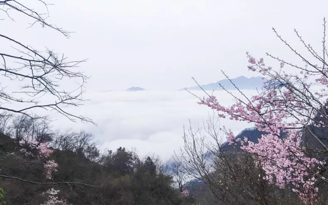 K8凯发旗舰厅(中国)官方网站