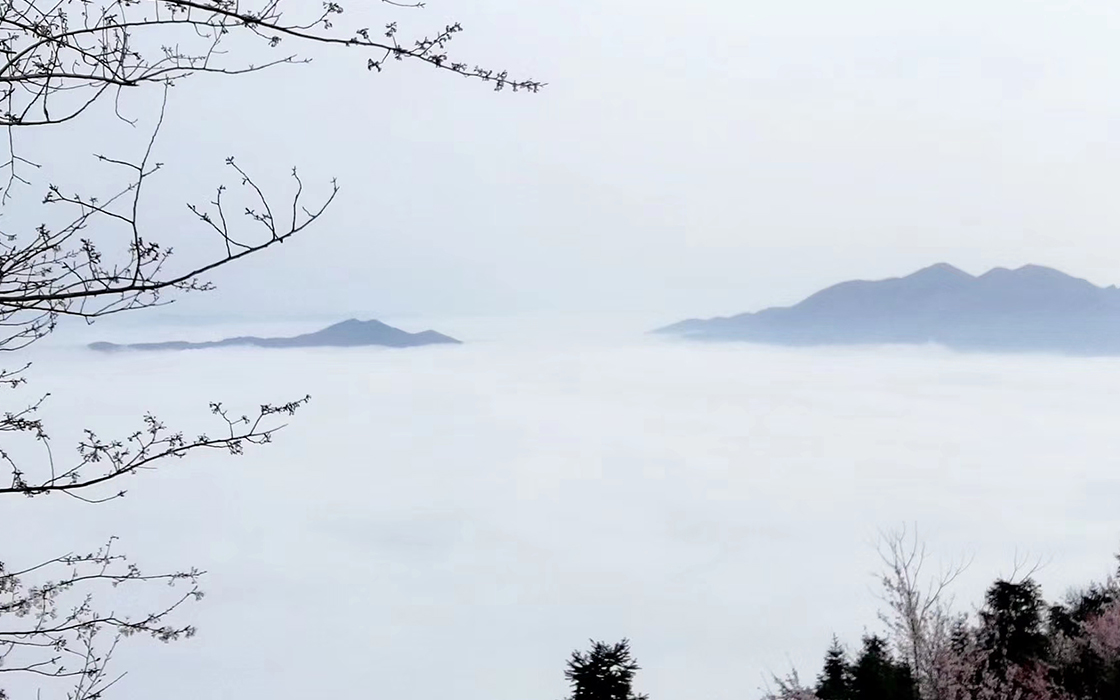 K8凯发旗舰厅(中国)官方网站