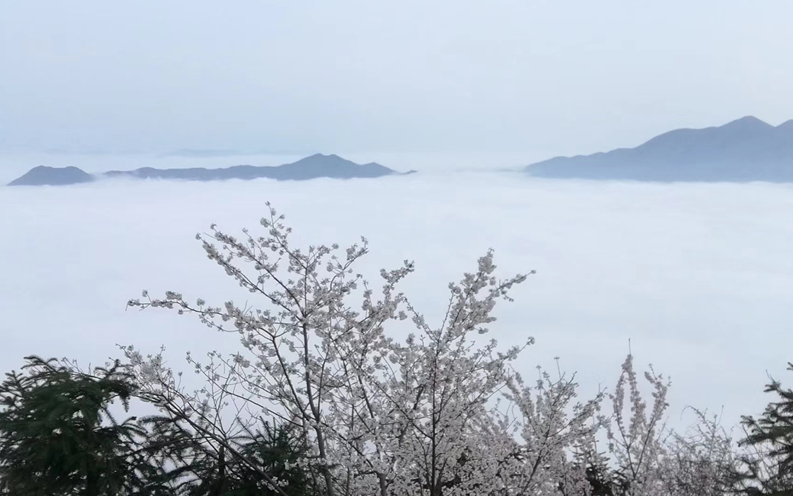 K8凯发旗舰厅(中国)官方网站