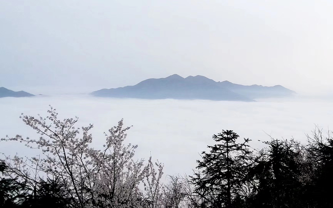 K8凯发旗舰厅(中国)官方网站