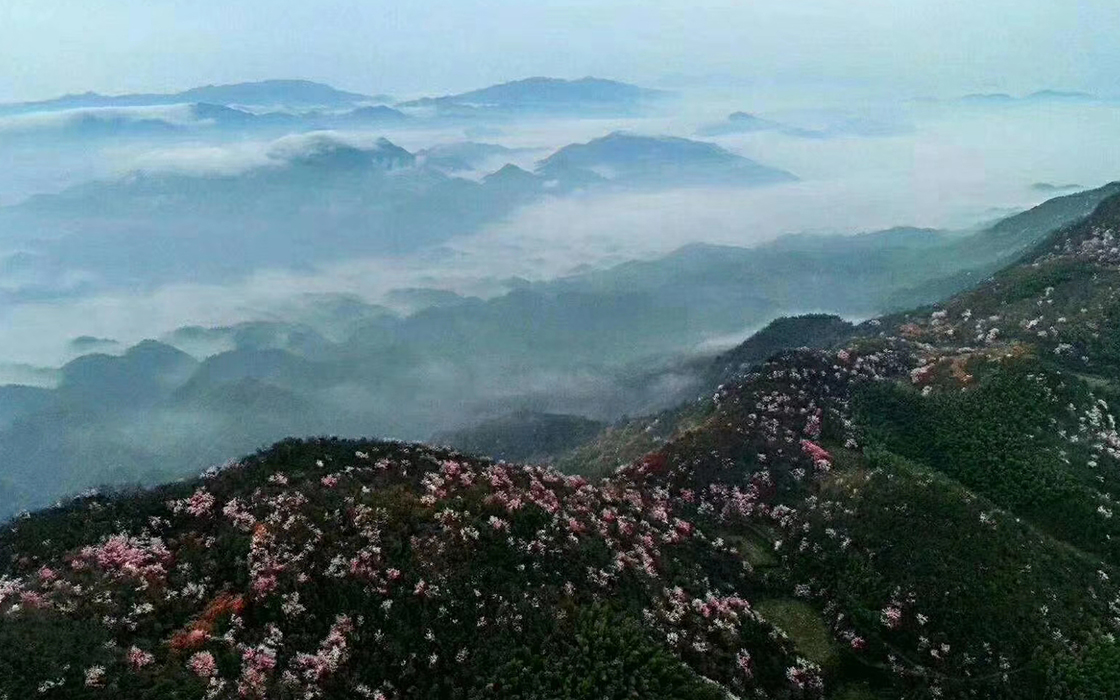K8凯发旗舰厅(中国)官方网站