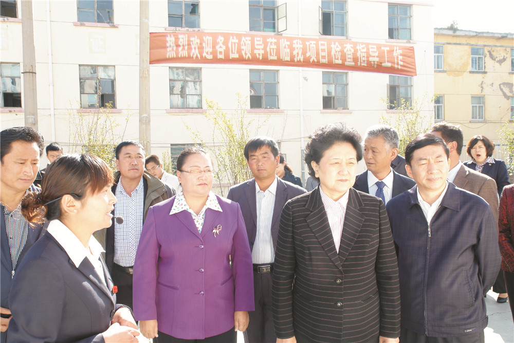 4中央政治局委员，，，，国务院副总理、党组成员刘延东视察湖北K8凯发旗舰厅集团青海项目部 